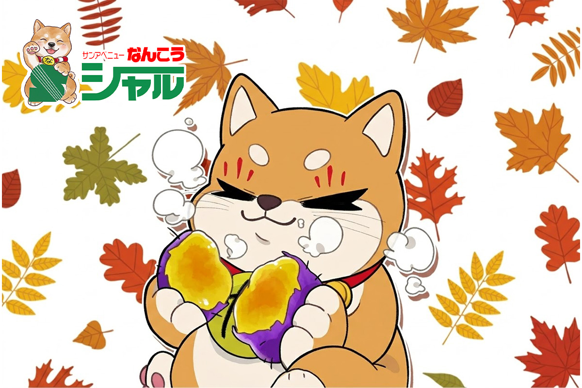 9/11(金)広告の品