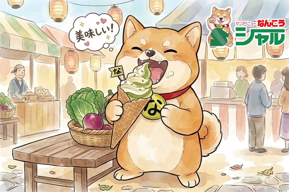 ９/１（火）広告の品