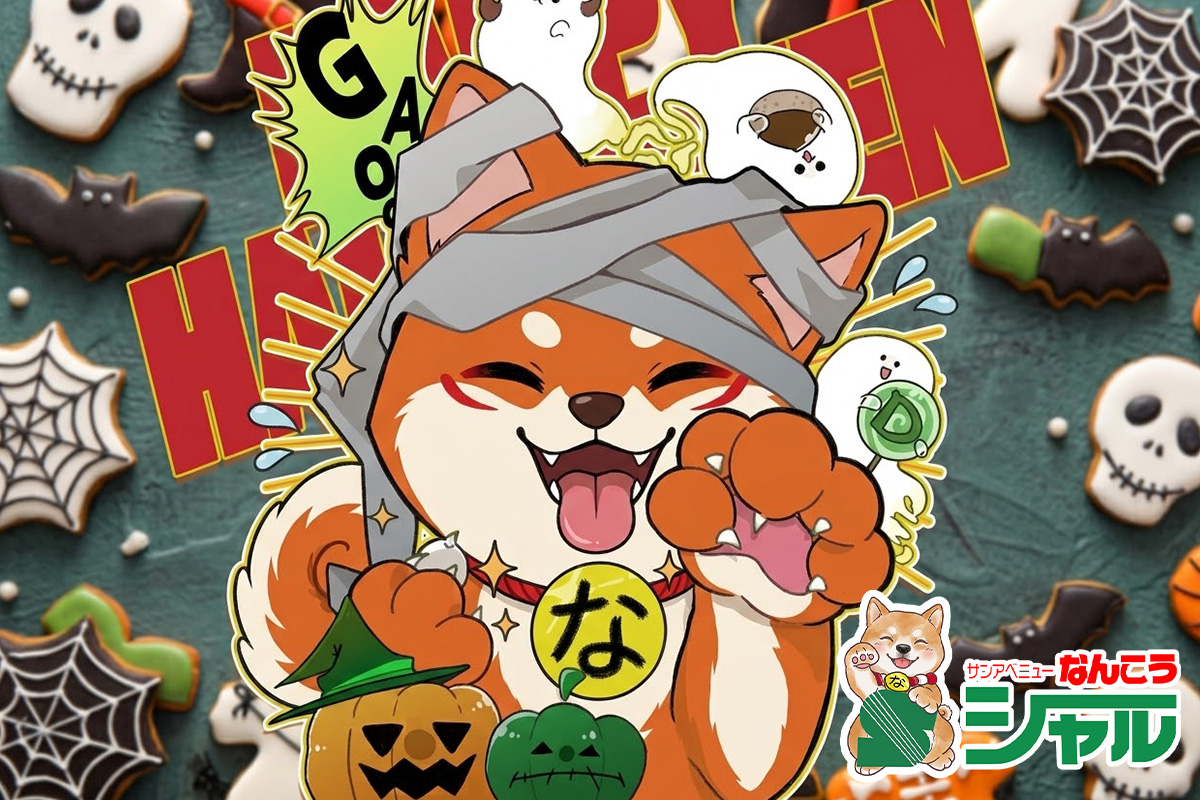 9/8(火)広告の品