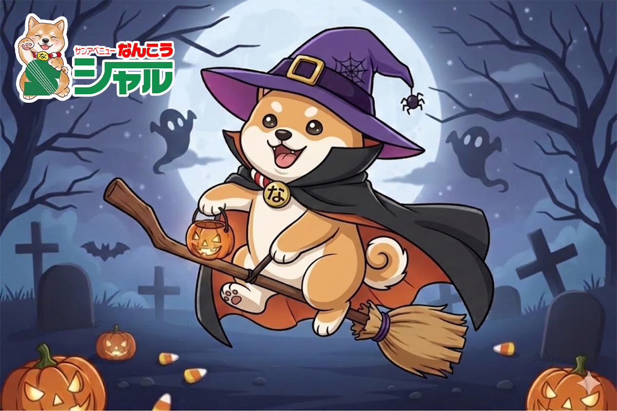 9/7(月)広告の品