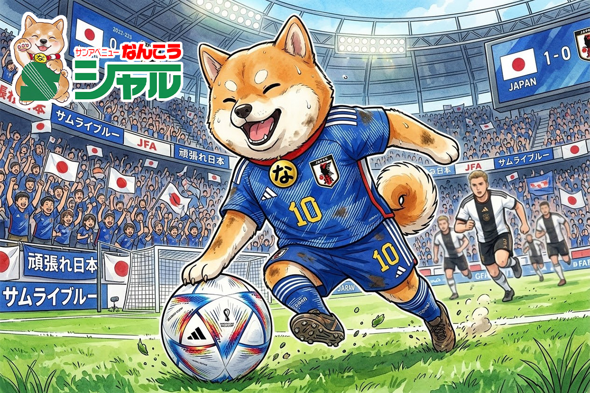 ７/１０（金）広告の品