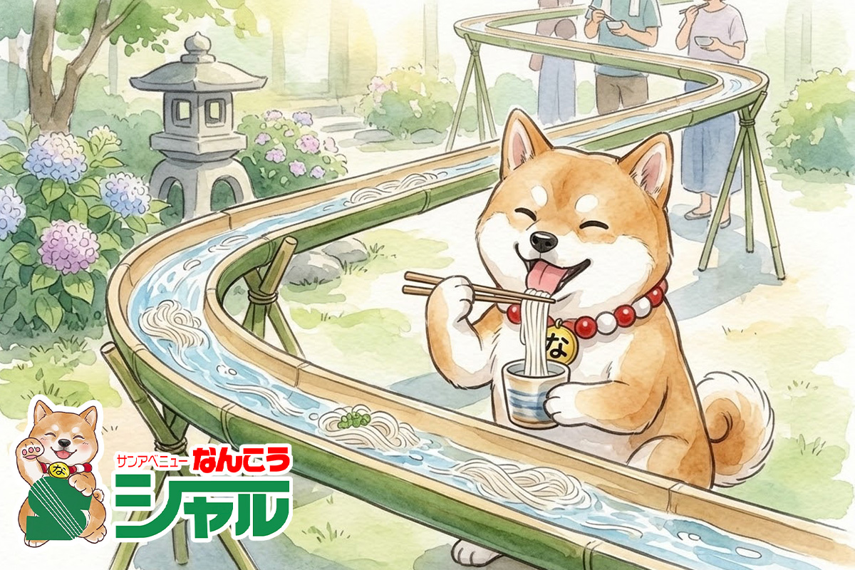8/25(火)広告の品