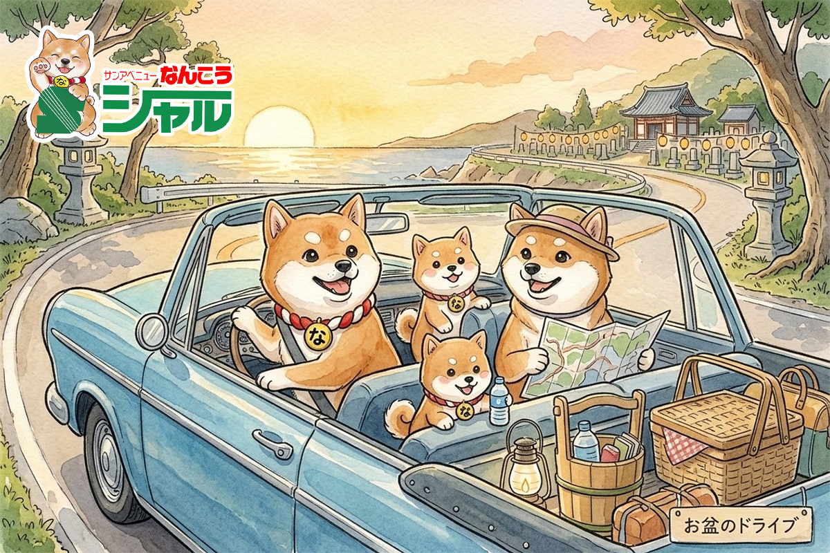 ８/１３（木）広告の品