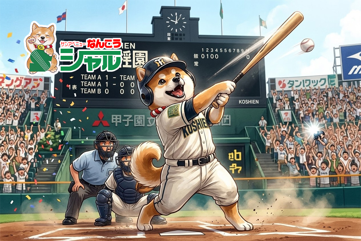 ８/１１（火）広告の品